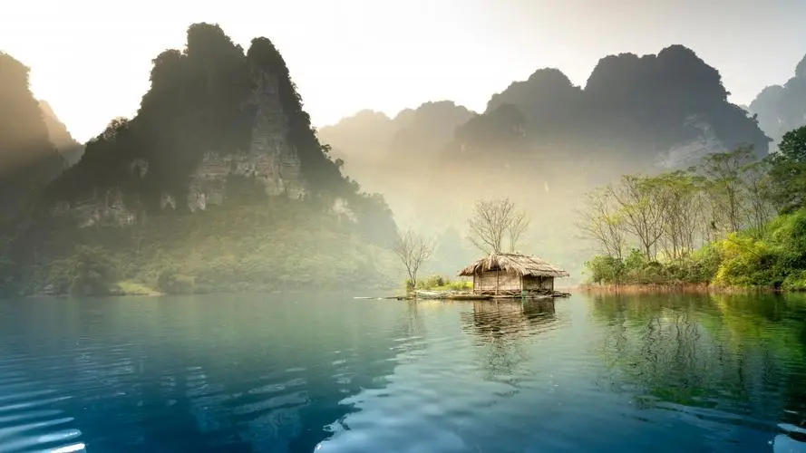 全自动高标准